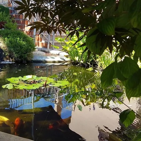 In Mit Garten, Terrasse Apartment Banjole