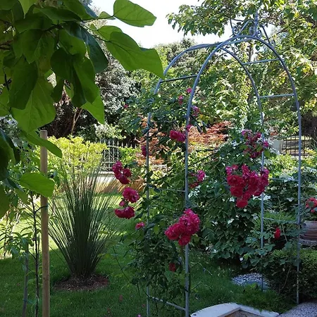 Apartment In Mit Garten, Terrasse